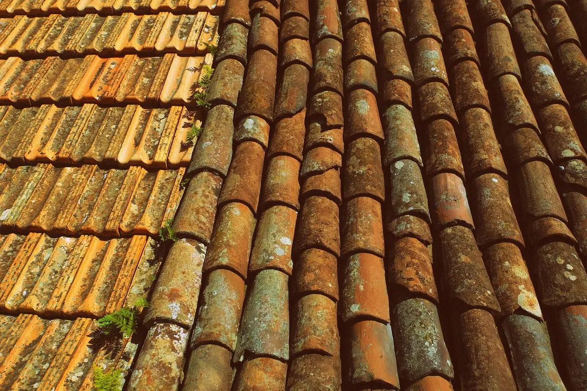 Roof Tiles vs Slate: Which Covering Lasts Longer in a Wet UK Climate?